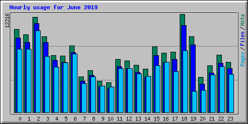 Hourly usage for June 2019