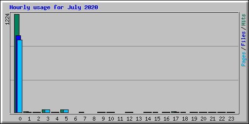 Hourly usage for July 2020