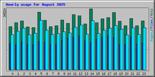 Hourly usage for August 2025