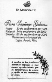 santiago-galarza-flora.jpg